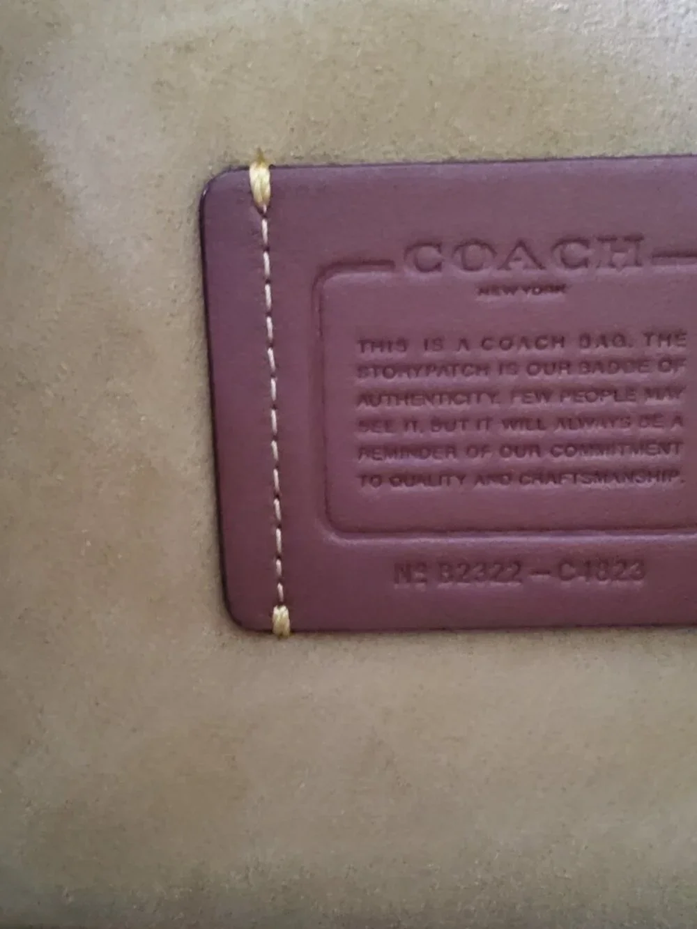 Coach this bag